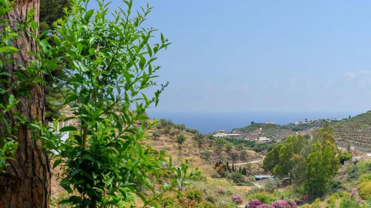 Villa Elsa Torrox By Ruralidays Casa vacanze